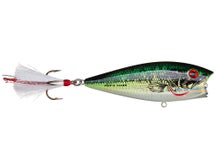 Heddon Pop'n Image Topwater Popper