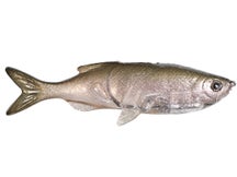 Huddleston Weedless Grass Minnow 3.75" Swimbaits 