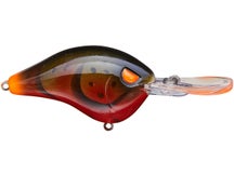 Head Hunter Shad Dad Crankbait Medium Diver