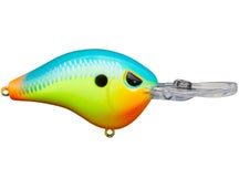 Head Hunter Shad Dad Crankbait Medium Diver