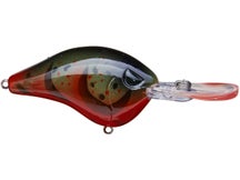 Head Hunter Shad Dad Crankbait Medium Diver