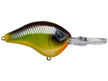 Head Hunter Shad Dad Crankbait Medium Diver