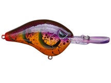Head Hunter Shad Dad Crankbait Medium Diver