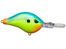 Head Hunter Shad Dad Crankbait Shallow Diver