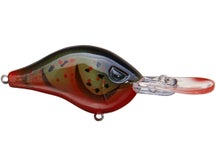 Head Hunter Shad Dad Crankbait Shallow Diver