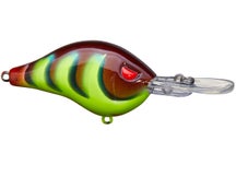 Head Hunter Shad Dad Crankbait Shallow Diver