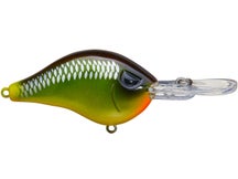 Head Hunter Shad Dad Crankbait Shallow Diver