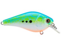 Head Hunter Tungsten 1.5 Squarebill Crankbait