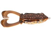 Hag's Outlier Swimming Frog