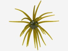 Hag's Prickly Pear Big Tex 25mm Creature Bait
