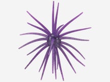 Hag's Prickly Pear 19mm Creature Bait