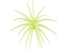 Hag's Prickly Pear 19mm Creature Bait