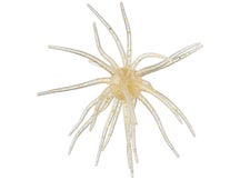 Hag's Prickly Pear 19mm Creature Bait