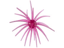 Hag's Prickly Pear 19mm Creature Bait