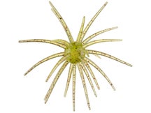 Hag's Prickly Pear 19mm Creature Bait