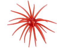 Hag's Prickly Pear 19mm Creature Bait