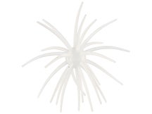 Hag's Prickly Pear 19mm Creature Bait