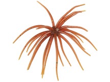 Hag's Prickly Pear Jr 10mm Creature Bait 2pk