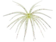 Hag's Prickly Pear Jr 9.9mm Creature Bait 2pk