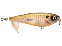 Heddon Spin'n Image Topwater Plopper