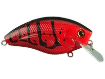 Livingston Howeller Dream Master Classic SQ Tournamnet