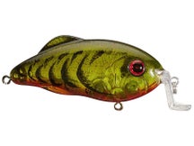 Strike King Salt Water Hybrid Hunter Jr. Shallow 