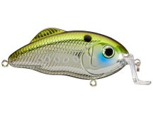 Strike King Salt Water Hybrid Hunter Jr. Shallow 