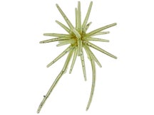 Hideup Coike Micro 5mm Creature Bait 3pk