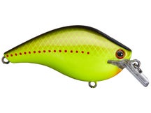 Ichikawa Rick Clunn RC King Kong Shad 05 Crankbaits