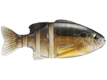 Imakatsu Javallon Gill 110 Swimbait