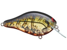 ima Shaker Crankbait