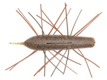 Geecrack Imo Kemushi Stick Worm