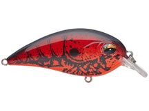 Jenko Fishing CD Squarebill Crankbaits 