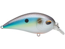Jenko Fishing CD Squarebill Crankbaits 
