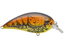 Jenko Fishing CD Squarebill Crankbaits 