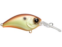 Jackall Mushbob 50 MR Crankbaits