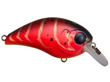 Jackall Mushbob 50 SR Crankbaits