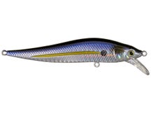 Livingston JerkMaster Junior Tournament Jerkbait