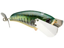 Jackall Pompadour Jr Spawn Gill Bone