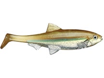 Jerry Rago Mini BV 3D Pro Inline Swimbait