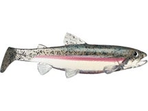 Jerry Rago SKT Pro Swimmer Inline