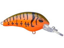 Jenko TB5 Crankbait