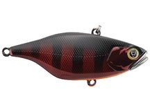ji/Jackall TN60 Marroon Gill