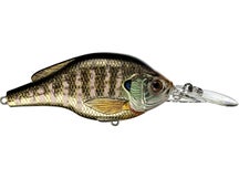 LIVETARGET Bluegill Crankbait