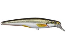 LIVETARGET Rainbow Smelt Jerkbait 115S