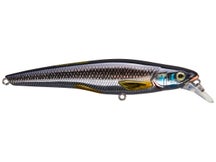 LIVETARGET Rainbow Smelt Jerkbait 115S