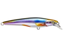 LIVETARGET Rainbow Smelt Jerkbait 70S