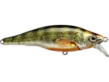 LIVETARGET Shallow Suspending Yellow Perch Jerkbait 3.6