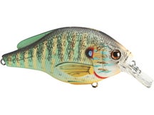 LIVETARGET Pumpkinseed Squarebill Crankbait 70S