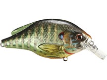 LIVETARGET Pumpkinseed Squarebill Crankbait 60S